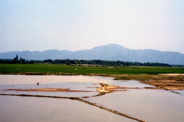 Flooded rice paddy
Common sight every day.

