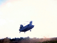 MH-31.JPG