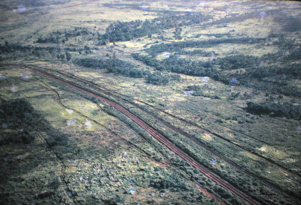 Choo-Choo missing
This aerial view looks like train tracks.
