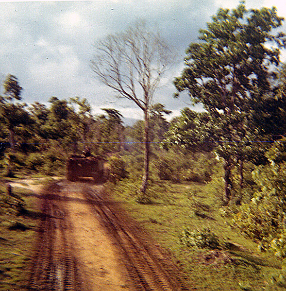 Jungle Road
Jungle Road running near the 5/16th Artillery area.

