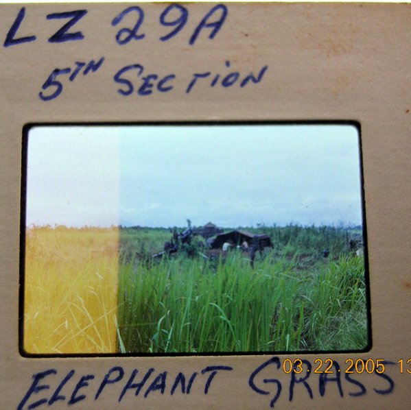 LZ 29A
This area was known as "LZ 29A".  Here is the #5 Gun Section in the tall elephant grass.
