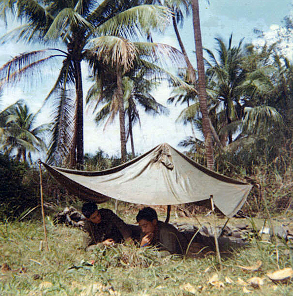 Jungle Shelter
{UNKs} at the Palm Grove location.
