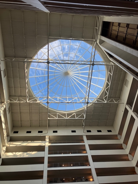 The Hilton Charlotte
Look up in the Lobby and see the sky!  A skylight view as you enter.
