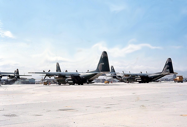 Cargo Planes
They carried troops and equipment throughout the war zone.
